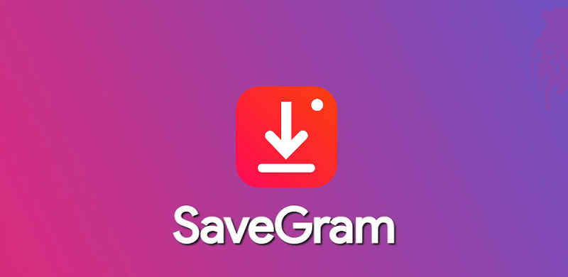 Instagram reels downloader