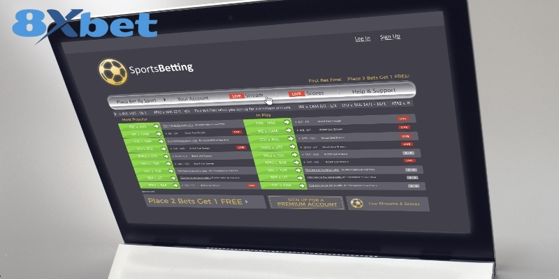 Sai lầm khi cá cược