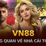 tong-quan-nha-cai-vn88