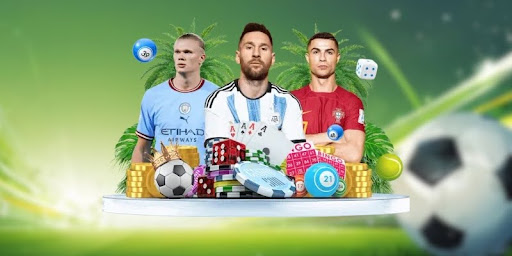 Saudi pro league structure competition framework explained