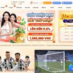 Khám Phá O8 – Trang Trò Chơi Trực Tuyến Hấp Dẫn Và Cách Tham Gia