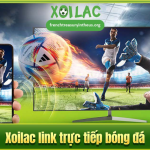 Cẩm nang đăng ký và bảo mật tài khoản khi tham gia cộng đồng Xoilac online